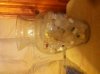 bottle vase.jpg