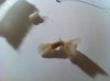 IMG_0429.jpg IMG_0429.jpg