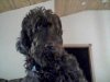 TPhoto_00001.jpg