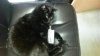 20140525_124735.jpg