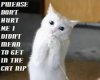 imagesCAVDW1G7.jpg