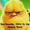 my happy face.jpeg