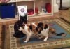.....cats.jpg
