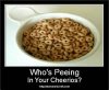 pee in cheerios.jpg