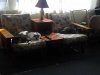 Cats relaxing on 2-seater.jpg