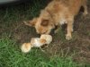 summer babies 2012 013.jpg
