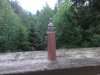 DSC01415.jpg