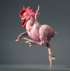 my_cock.jpg