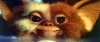 gremlins.jpg
