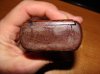 DSC00772.jpg