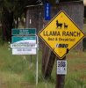 NICOTICKET_LLAMARANCH01.jpg