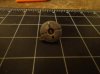 DSC00077.jpg
