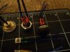 DSC00103.jpg