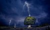 lighteningtree4.jpg