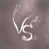 VS Logo.jpg