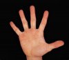 Hand.jpg