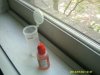 PICT0067.jpg