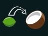 limecoconut.jpg