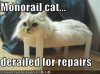 monorail cat.jpg