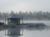 IMG_3460.jpg