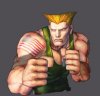 ImagenesNuevasps3sf4Guile.jpg