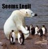 a.aaa-Lawless-Bear.jpg