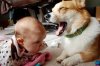 ababyandadog.jpg