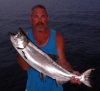 salmon1.jpg