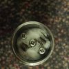 uploadfromtaptalk1406156293279.jpg