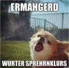 wurtersprehrnklurs.jpg
