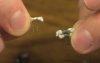 riptripPT2-3 coils.jpg