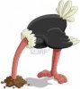 ostrich.jpg