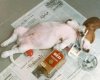 doggonesmoking.jpg