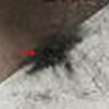 blowup_zps0103fc7a.jpg