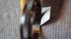 DSC01554.jpg