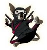 ninja-chihuahua-leaping bahlsen.jpg