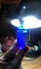 new_bottle_mystic.jpg