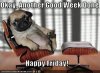 happy-friday-Pug.jpg