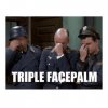 triplefacepalm.jpg