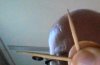 WIN_20140902_184705.jpg