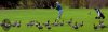 SportsFeature22.jpg