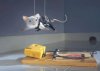 funny mouse.jpg