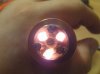 DSC01421.jpg