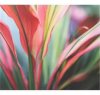 bright leaf.jpg