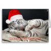 baby_white_bengal_tiger_with_christmas_hat_card-rf3740b1612f64827b37a011716d0d5bc_xvuak_8byvr_51.jpg