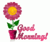 goodmorningflower.gif