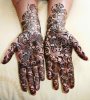 Bridal-Mehndi-Designs.jpg Bridal-Mehndi-Designs.jpg