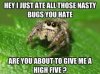 spidermeme.jpg