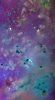 S331-2.jpg