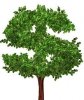 money tree.jpg
